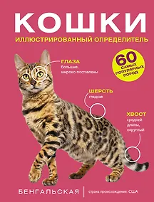 Купить Кошки. 60 самых популярных пород. Иллюстрированный определитель — Фото №1