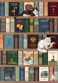 Купить Блокнот. Книжный шкаф. (А5, твердая обложка, 64 л.) (у.н.) — Фото №1