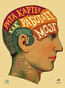 Купить Как работает мозг — Фото №1