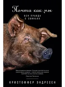 Купить Почти как мы: Вся правда о свиньях — Фото №1