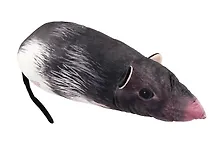 Купить Мягкая игрушка Крыса (70 см) — Фото №1