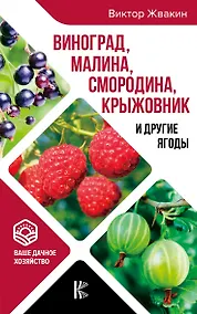 Купить Виноград, малина, смородина, крыжовник и другие ягоды — Фото №1