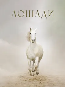 Купить Лошади — Фото №1