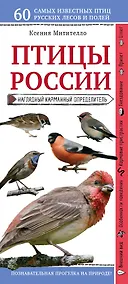 Купить Птицы России. Наглядный карманный определитель — Фото №1