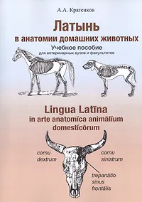 Купить Латынь в анатомии домашних животных. Уч. пособие (мУдВ СпецЛит) Кратенков — Фото №1
