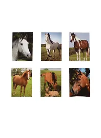 Купить Блокнот Кони (1209-ED062) (Веста Трейд) — Фото №1