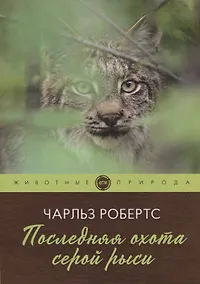 Купить Последняя охота серой рыси: рассказы — Фото №1