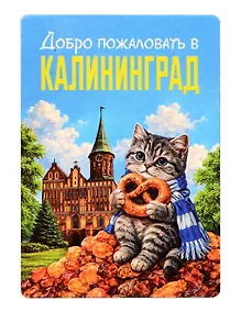 Купить Магнит декоративный Кот на янтаре (Калининград) (70х100мм) (FH070) — Фото №1