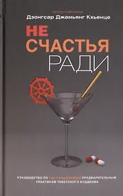 Купить Не счастья ради. Руководство по так называемым предварительным практикам тибетского буддизма — Фото №1