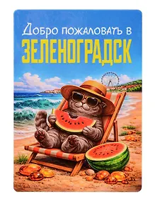 Купить Магнит декоративный Кот на пляже (Калининград) (70х100мм) (FH073) — Фото №1