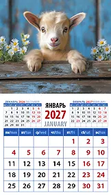 Купить Календарь 2027г 94*167 «Год козы. Обаятельный малыш» на магните — Фото №1