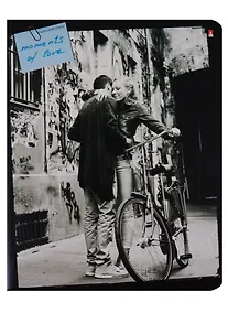 Купить Тетрадь в клетку Альт, "Романтические пары", 48 листов, в ассортименте — Фото №1