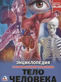 Купить Тело человека — Фото №1