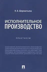 Купить Исполнительное производство. Практикум — Фото №1