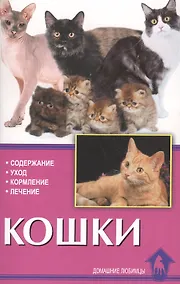 Купить Кошки. содержание. уход. кормление. лечение. — Фото №1