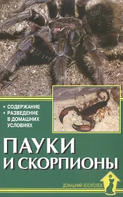 Купить Пауки и скорпионы. Содержание. Разведение в домашних условиях — Фото №1