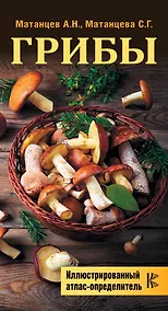 Купить Грибы. Иллюстрированный атлас-определитель — Фото №1