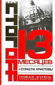 Купить 13 месяцев — Фото №1