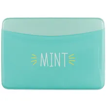 Купить Чехол для карточек горизонтальный Mint (ДКГ2018-13) — Фото №1