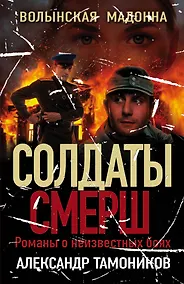 Купить Волынская мадонна — Фото №1