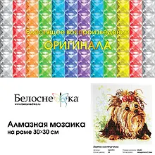 Купить Алмазная мозаика на холсте ТМ Белоснежка Йорик на прогулки 354-ST-S — Фото №1