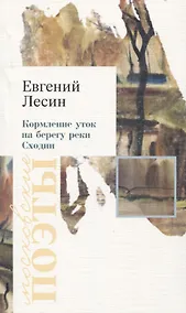 Купить Кормление уток на берегу реки Сходни — Фото №1