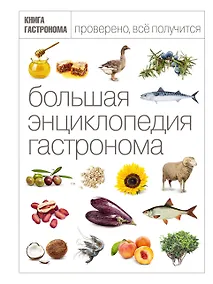 Купить Большая Энциклопедия Гастронома — Фото №1
