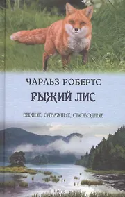 Купить Рыжий лис — Фото №1