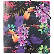 Купить Папка на резинке A5+ "Tropics" пластик, Erich Krause — Фото №1