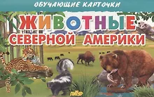 Купить Животные Северной Америки — Фото №1