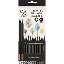 Купить Карандаши цветные Арт Формат, Blackwood, 12 цветов — Фото №1