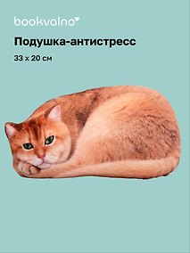 Купить Подушка декоративная антистресс Котик рыжий (33х20) (bv-17) — Фото №1