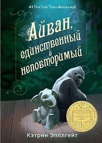Купить Айван, единственный и неповторимый — Фото №1