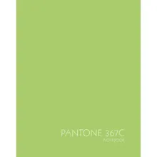 Купить Книга для записей (евротетрадь) А5, 96л. Июньский зеленый ЕТИЛ596195 — Фото №1