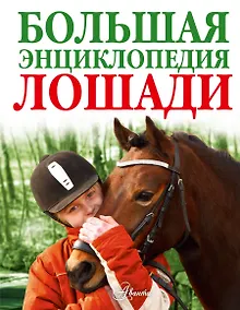 Купить Лошади. Большая энциклопедия(2-ое издание) — Фото №1
