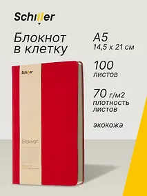 Купить Книга для записей А5 100л кл. красный, интегр., тонир.блок, резинка, ляссе, Schiller — Фото №1