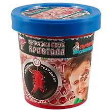 Купить Набор для опытов, Серия Лучшие эксперименты Вырасти рубиновый кристалл 120гр. — Фото №1