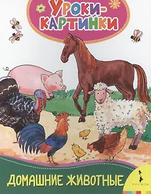 Купить Домашние животные. Уроки-картинки — Фото №1