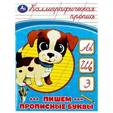 Купить Каллиграфическая пропись. Пишем прописные буквы — Фото №1