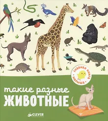 Купить Такие разные животные — Фото №1
