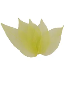 Купить Листья скелетированные в ОРР с подвесом, 5 шт, 7 см, зеленые — Фото №1