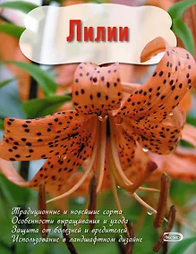 Купить Лилии (Вырубка. Цветы в саду и на окне) — Фото №1