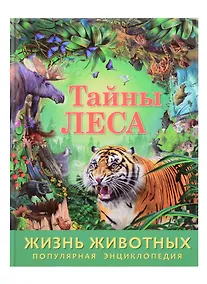 Купить Тайны леса — Фото №1