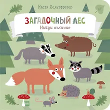 Купить Загадочный лес. Найди отличие — Фото №1