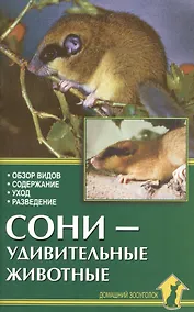 Купить Аквар.Сони-удивительные животные — Фото №1