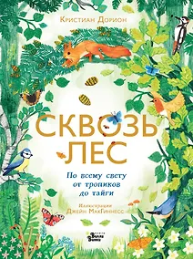Купить Сквозь лес. По всему свету от тропиков до тайги — Фото №1