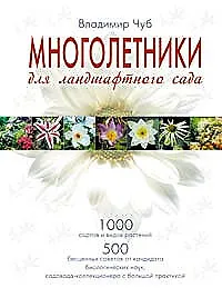 Купить Многолетники для ландшафтного сада — Фото №1