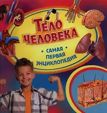 Купить Тело человека — Фото №1