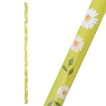 Купить Бумага упаковочная 70*100см "Ромашки на салатовом" глянц., инд.уп. — Фото №1