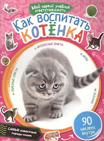 Купить Как воспитать котёнка + 90 наклеек внутри — Фото №1